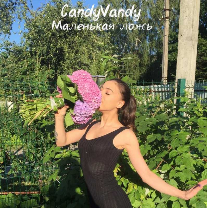 CandyVandy